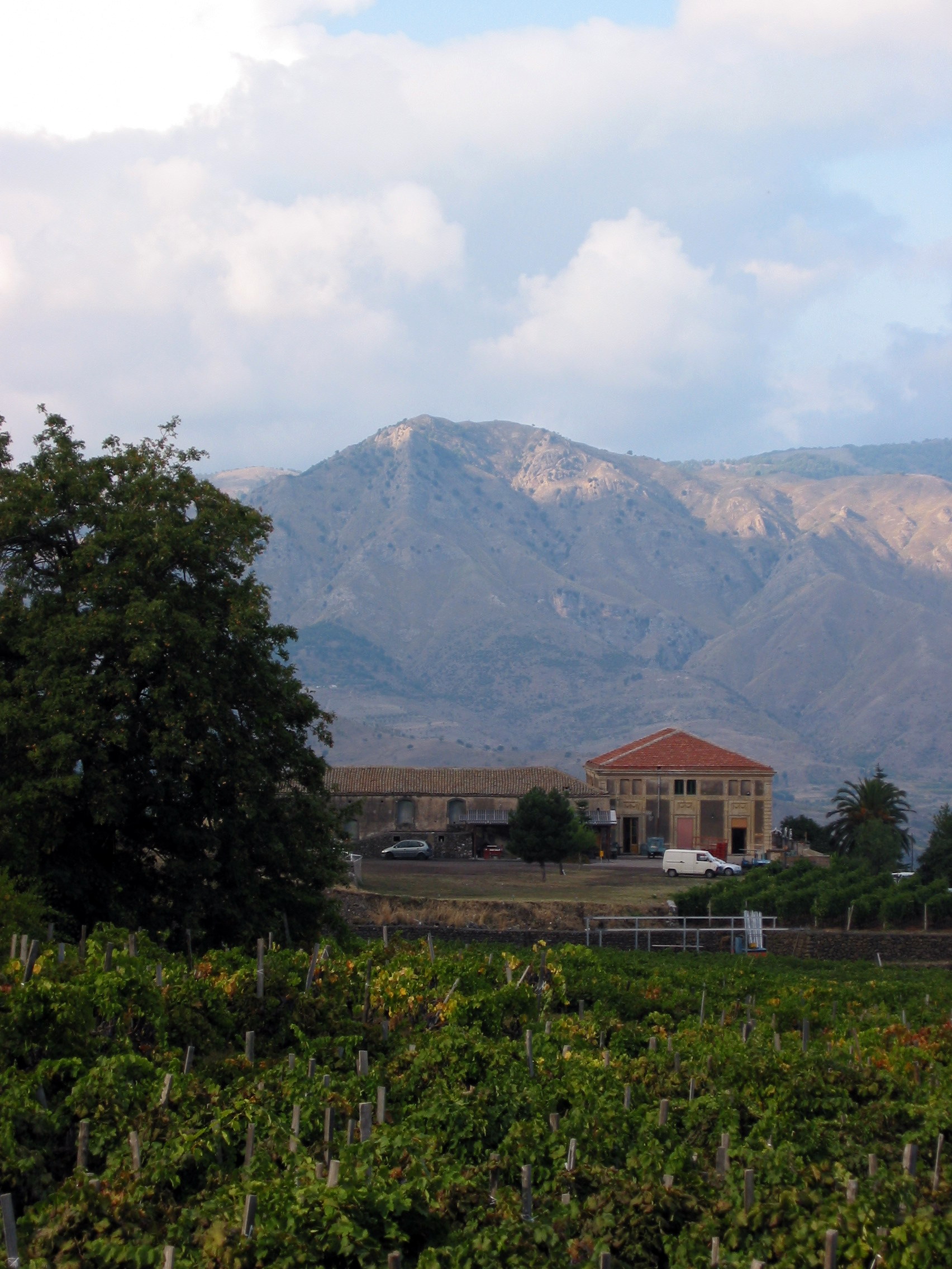Bâtiment d'agriturismo et vignes face aux montagnes de l'Etna
